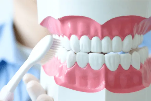 Illustration showing how to properly brush your teeth
