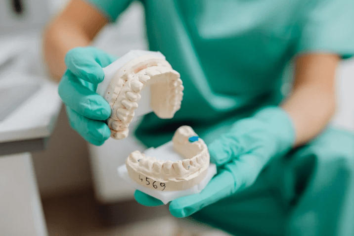 dentist with teeth